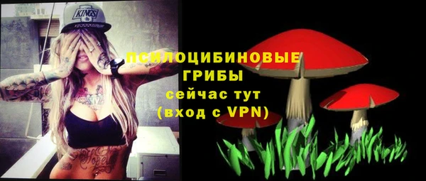 apvp Абинск