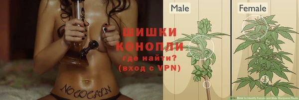 трава Абаза